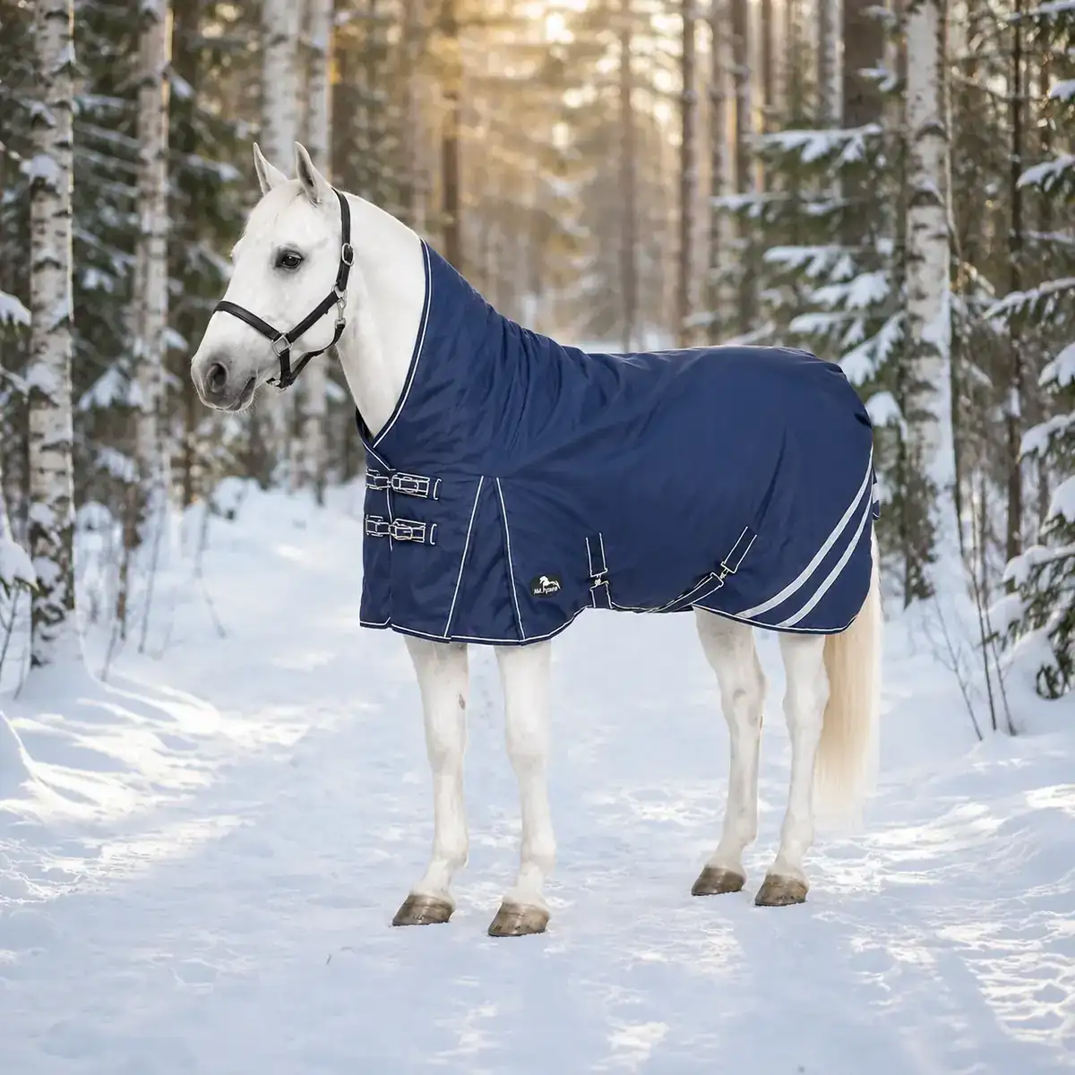 How to choose a private-label horse rug manufacturer
