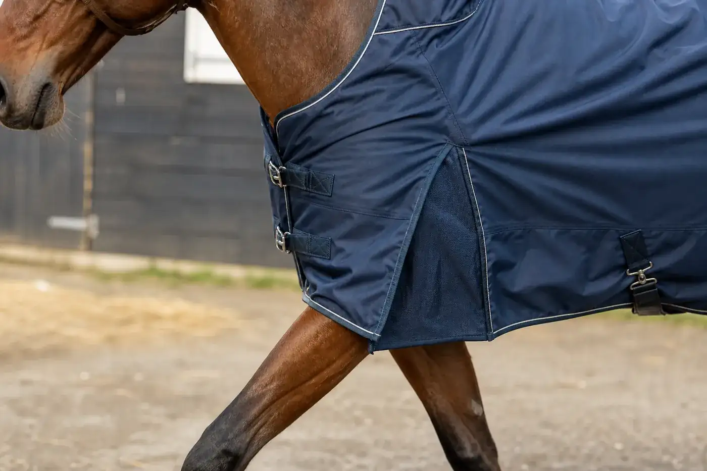 Horse rug construction and finishing detail