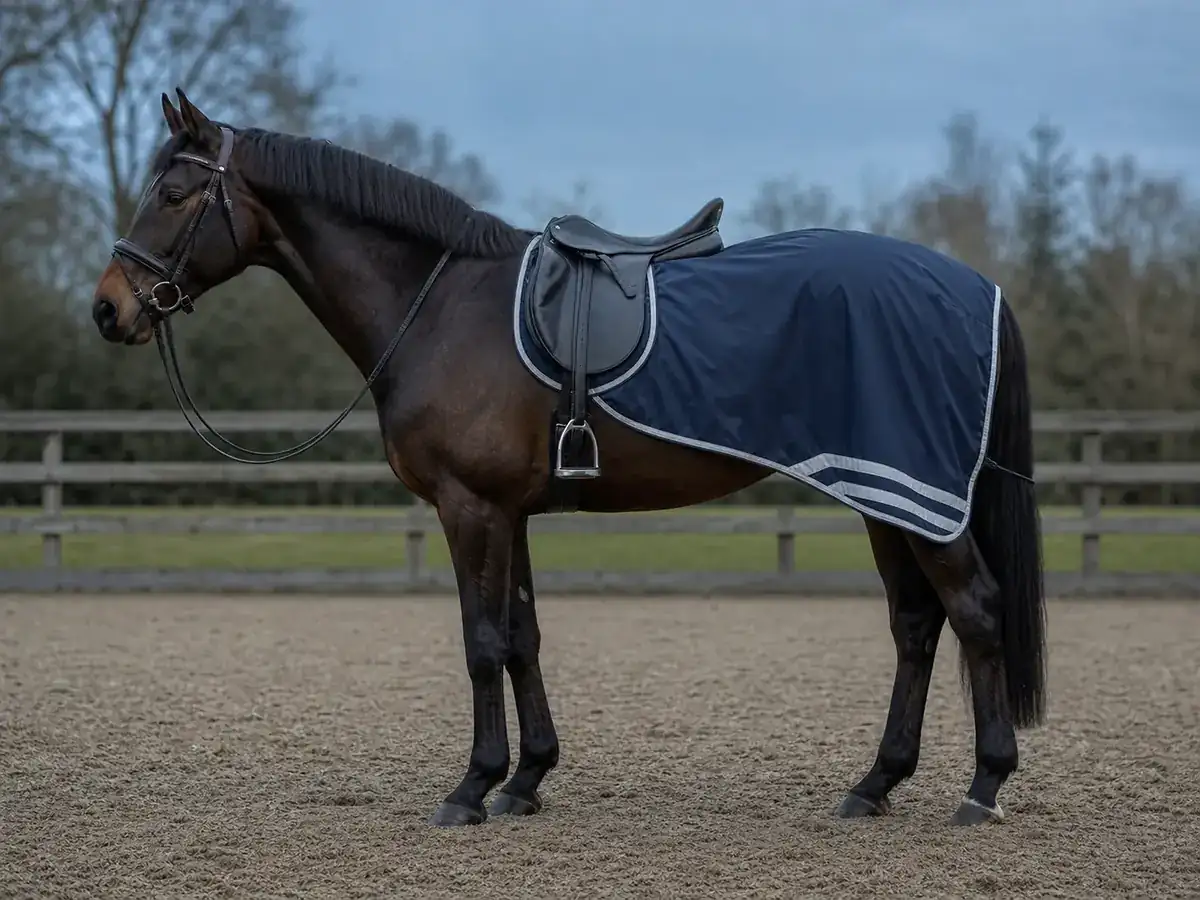 Saddle pads & exercise textiles — Water-resistant reflective exercise sheet