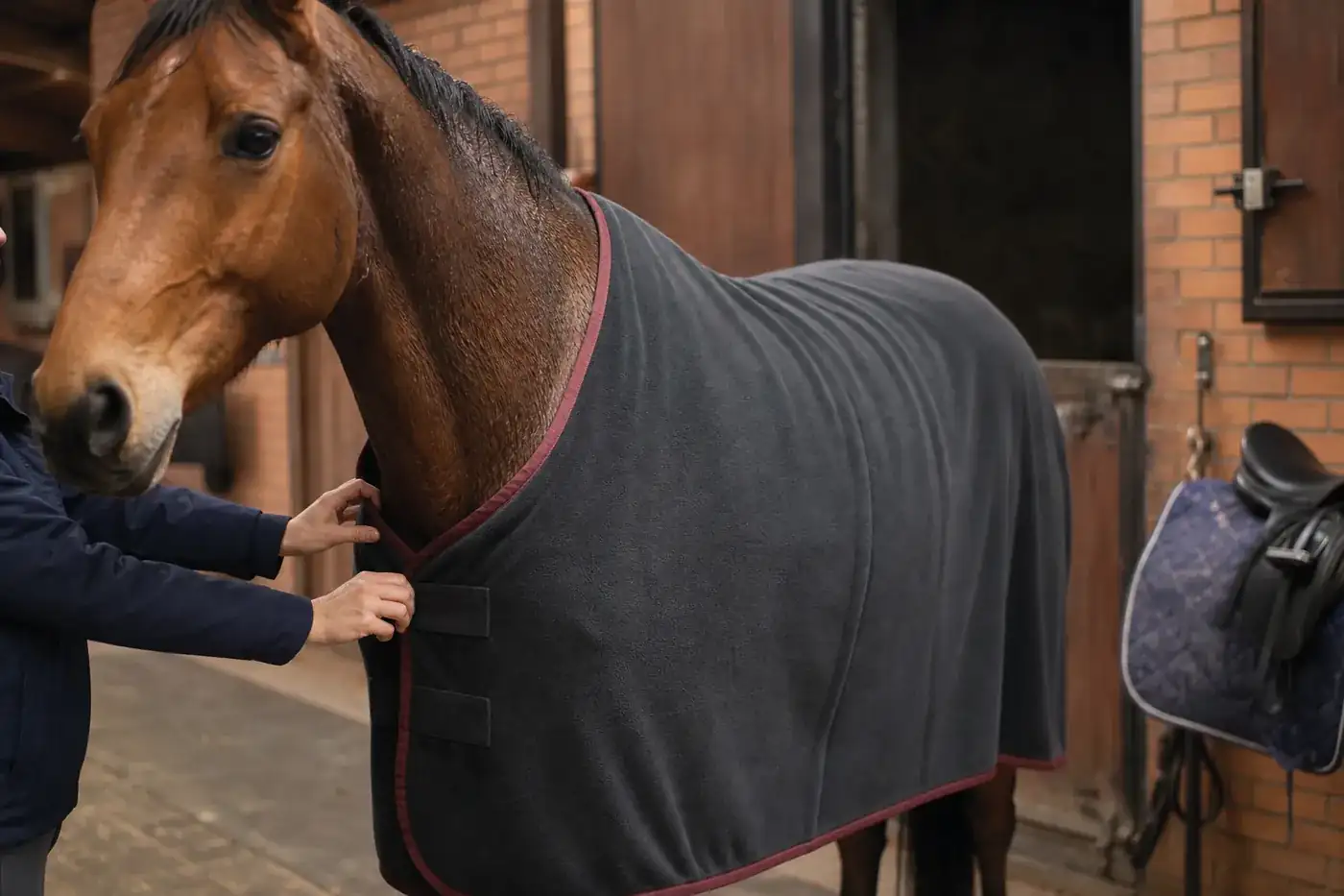 Fleece & Cooler Rugs development direction