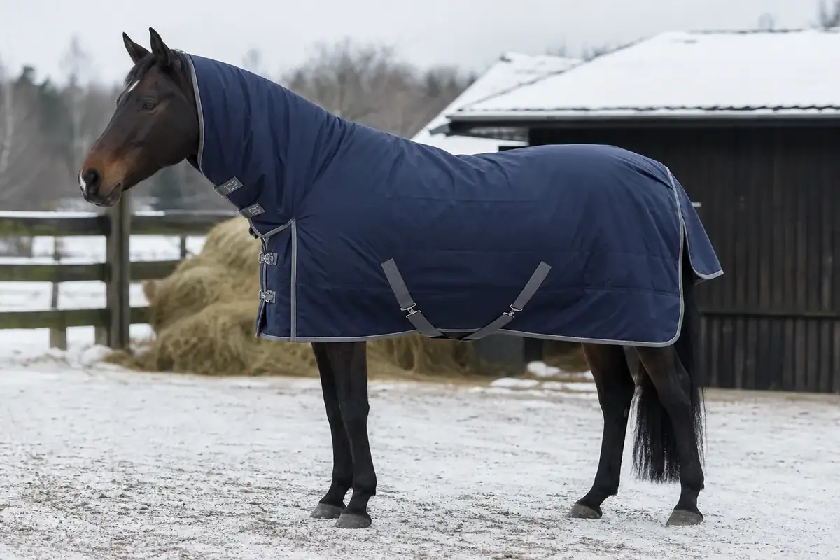 Winter full-neck horse rug