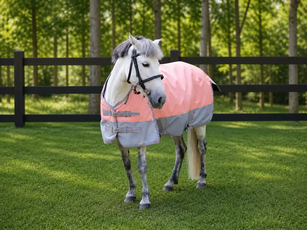 Foal & youth equestrian collection — Pony seasonal warmth rug