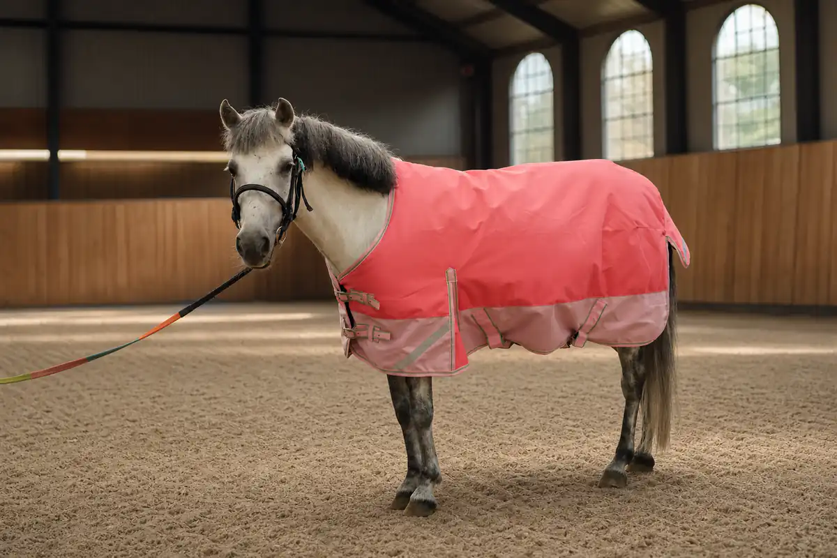 Foal & youth equestrian collection — Pony turnout rug