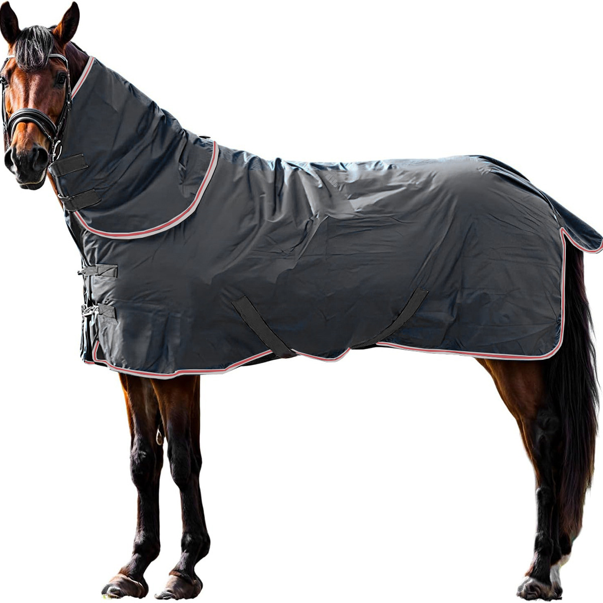 Panelled full-neck horse rug construction reference